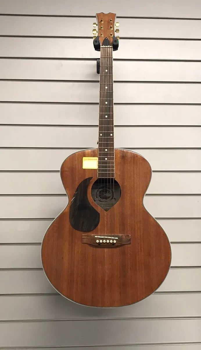 Left handed Canadian semi acoustic guitar