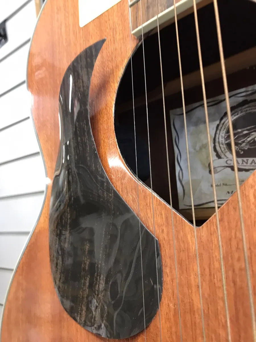 Left handed Canadian semi acoustic guitar
