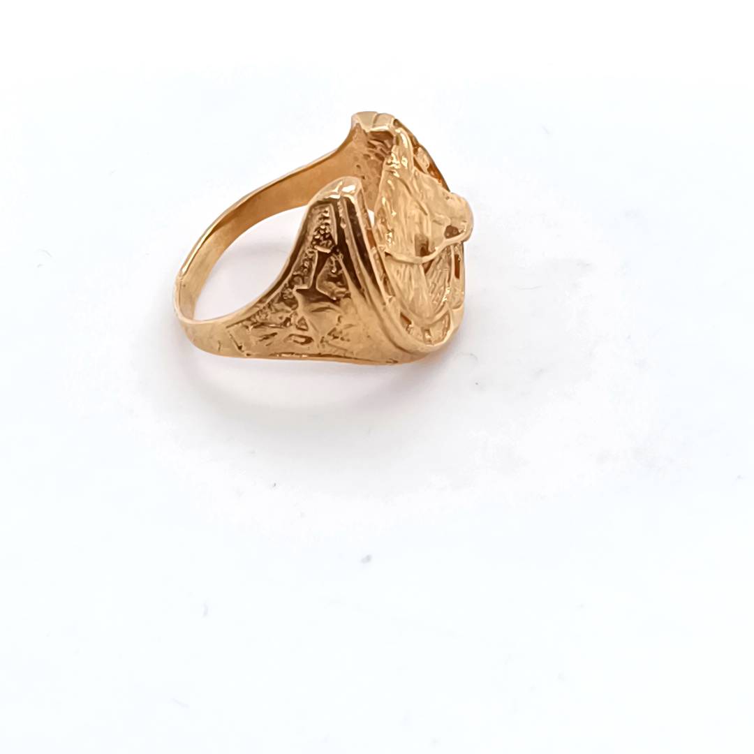 Horseshoe, Horse Head 9k Gold Ring