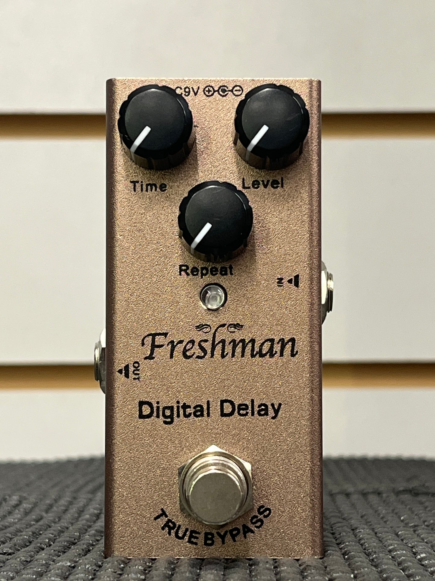 Freshman Digital Delay