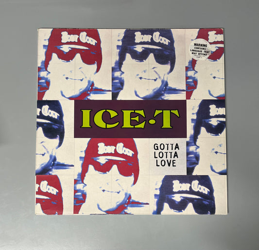 Ice T - Gotta Lotta Love